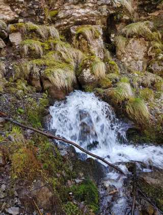Kademliysko Dere Spring 1