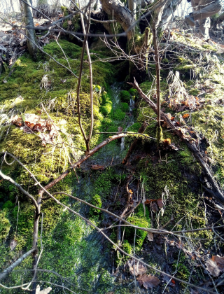Byuyuk Dere Rock Spring