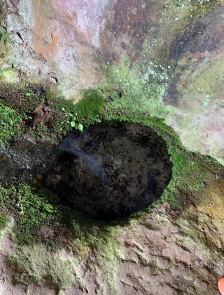 Kaynak Punar Spring