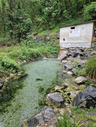 Krichimski Bigger Spring