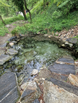 Krichimski Smaller Spring