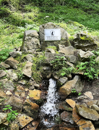 Vacha River Spring