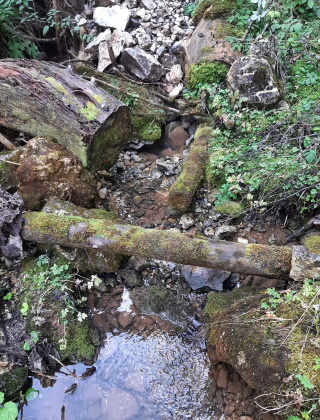Chepelarska (Chaya) River Spring