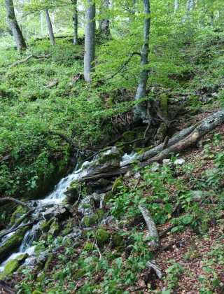 Mazadere Spring