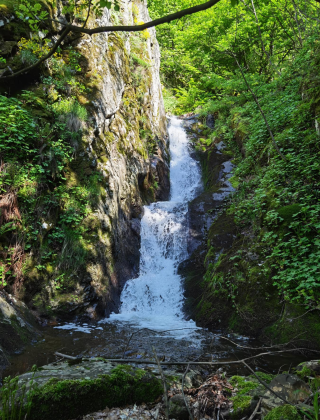 Тайна Устинска каскада