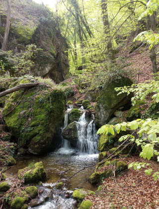 Долен водопад Средорека
