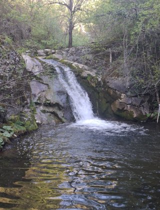 Zimevishki Rapid 1