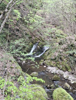 Zimevishki Rapid 3