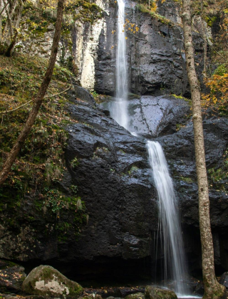 Мечо падало