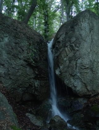 Kozuelesi