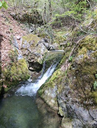Zimevishki Rapid 4
