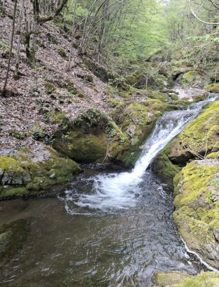 Zimevishki Waterfall 10