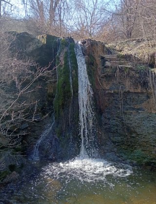 Dauderesi 1