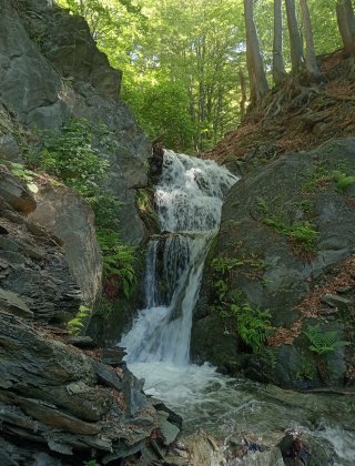 Sanar Dere 2