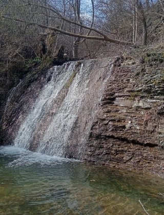 Dermendere 2