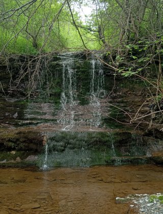 Ilinitsa 1