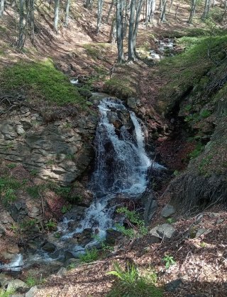 Sanar Dere 3