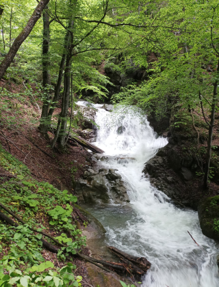 Damardere Waterfall 5