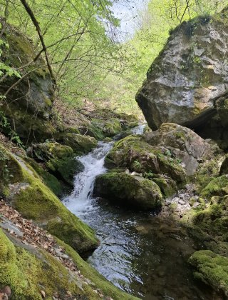 Zimevishki Rapid 5