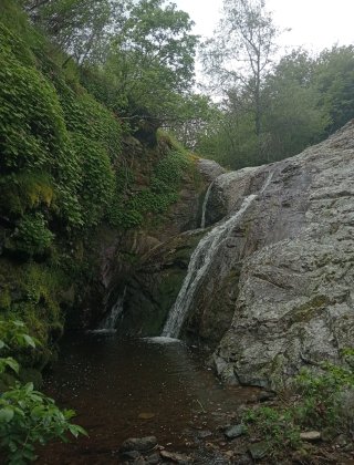 Nebeska 1