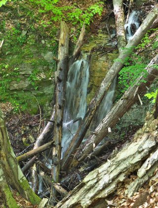 Kelanova Prisoyna Waterfall