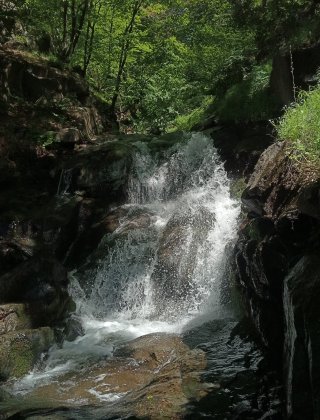 Balamdere 2