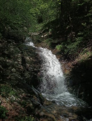 Balamdere 4
