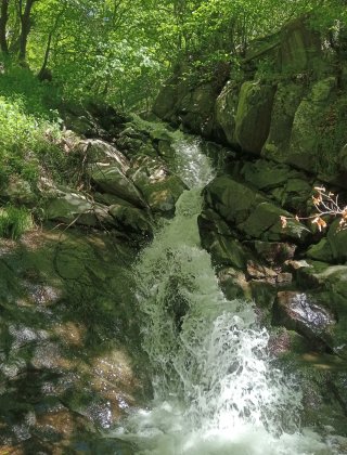 Balamdere 5