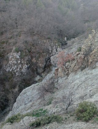 Ribino 6