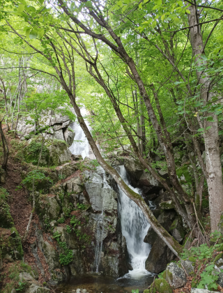 Kuru Dere (Anevo) Waterfall 8