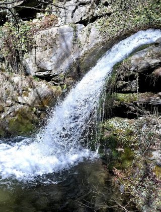 Rekata (Kosovo)