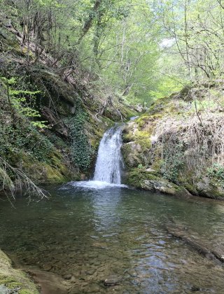 Zimevishki Rapid 6