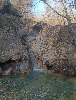 Ribino 1