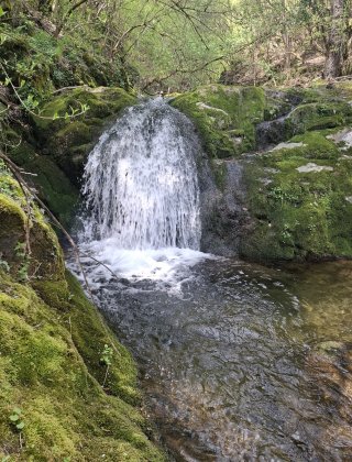 Zimevishki Waterfall 7