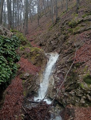 Slivov Dol 9