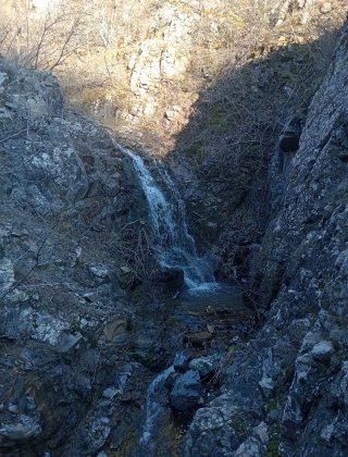 Guzdere 3