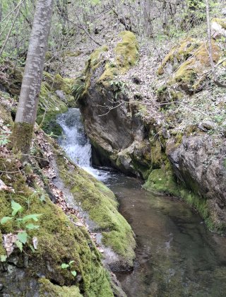 Zimevishki Waterfall 8