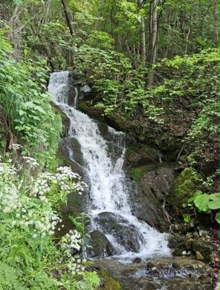 Alekov Upper Waterfall