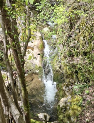 Zimevishki Waterfall 11