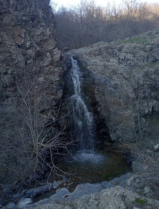 Guzdere 4