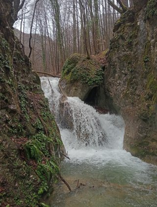 Slivov Dol 3