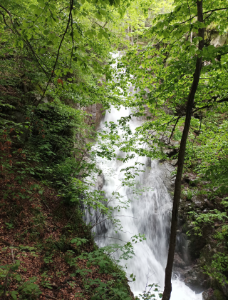 Kuntepe(Damardere) Waterfall