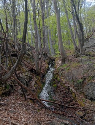 Gyubdere