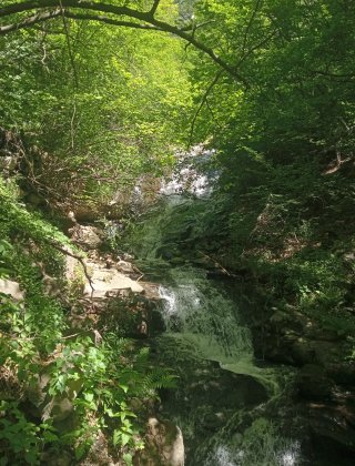 Balamdere 1