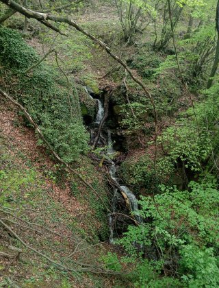 Dabravata 2