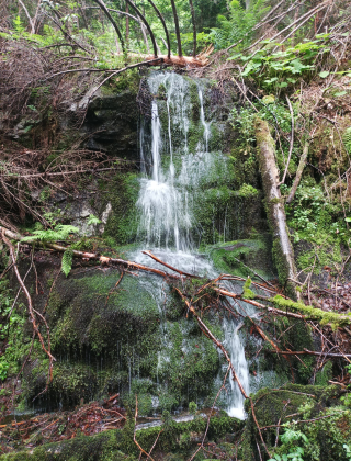 Bistrishki (Dolna Banya) Waterfall