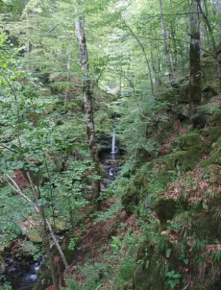 Praskalska Reka Waterfall 1
