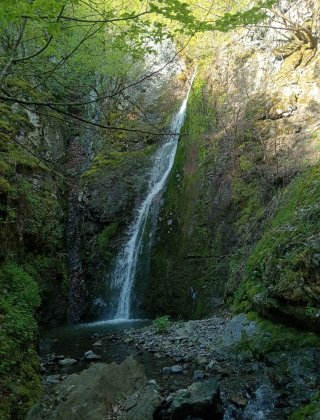 Водопад Фейзлер дереси