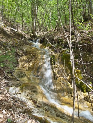 Chechkovitza Lower waterfall