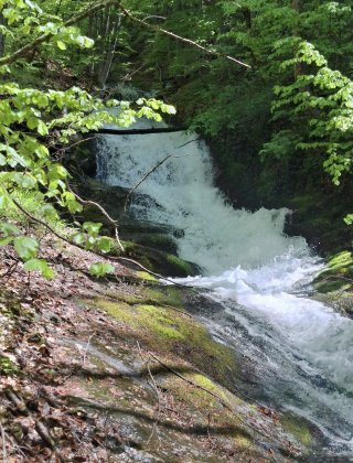 Водопад Брежанска река 6